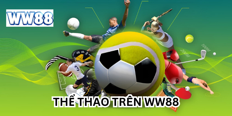 Thể Thao trên nhà cái uy tín