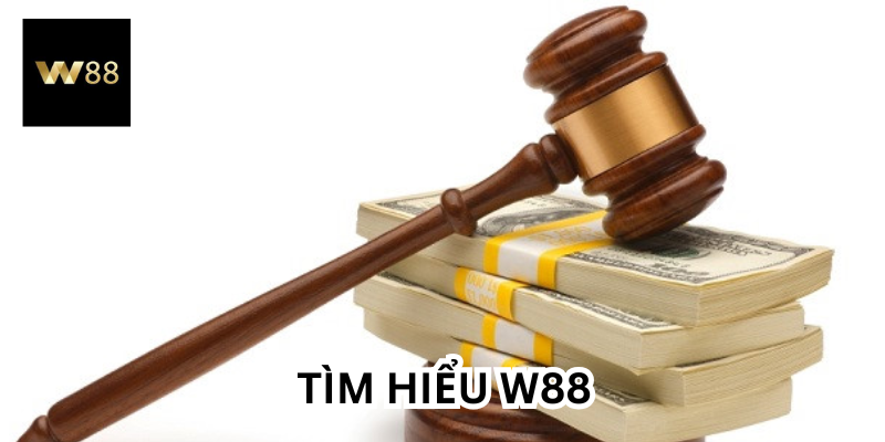 Hiểu về W88