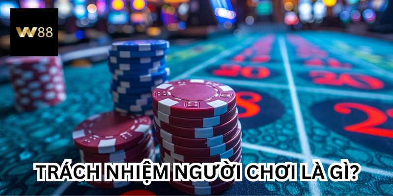Trách Nhiệm Người Chơi là gì?